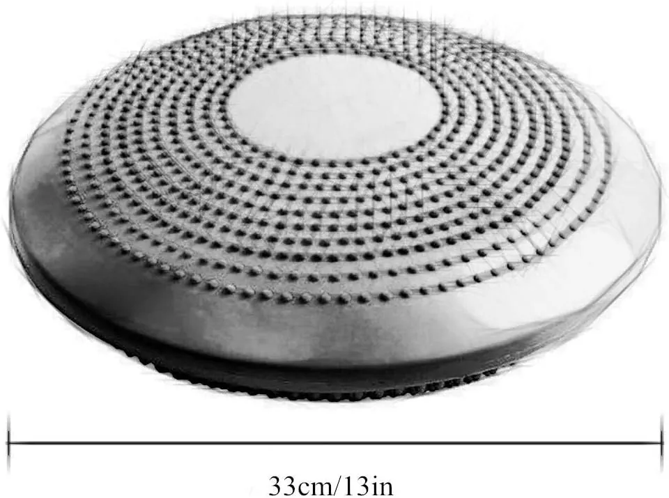 قرص التوازن (Balance Disc)